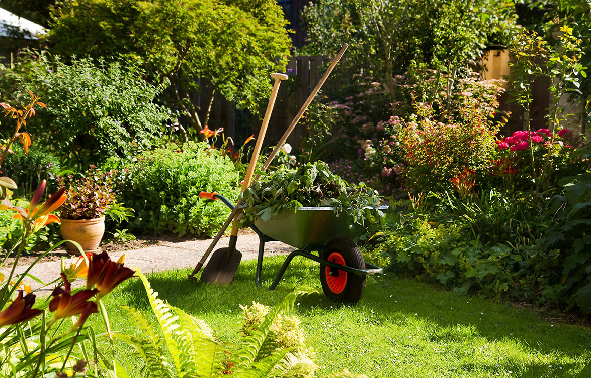 Grün- und Gartenpflege für Ihren Garten. Sie suchen Profis? Rufen Sie uns an.
